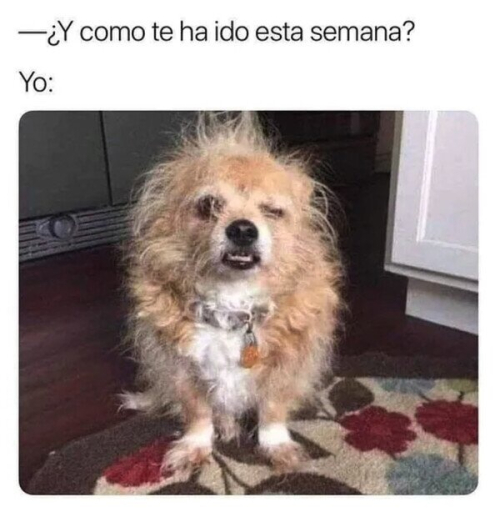 ¿Y como te ha ido esta semana?