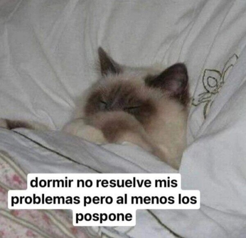 Dormir no resuelve los problemas pero al menos los pospone