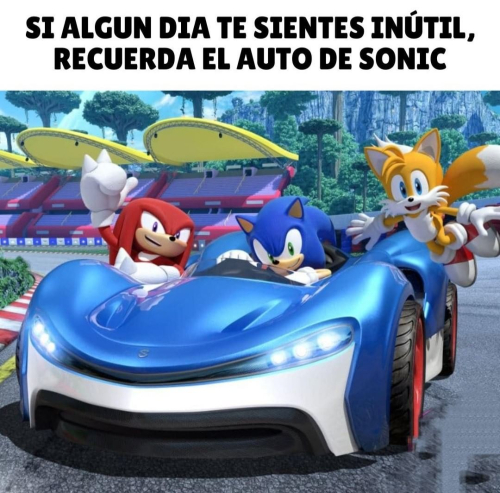 Si algún día te sientes inútil recuerda el auto de Sonic
