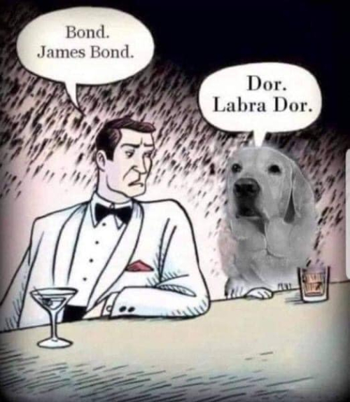 Dor. Labra Dor.