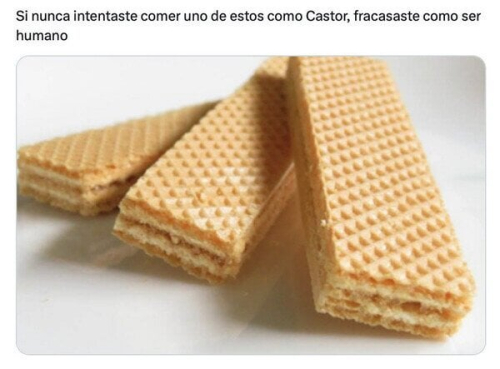 Si nunca intentaste comer uno de estos como castor fracasaste como ser humano