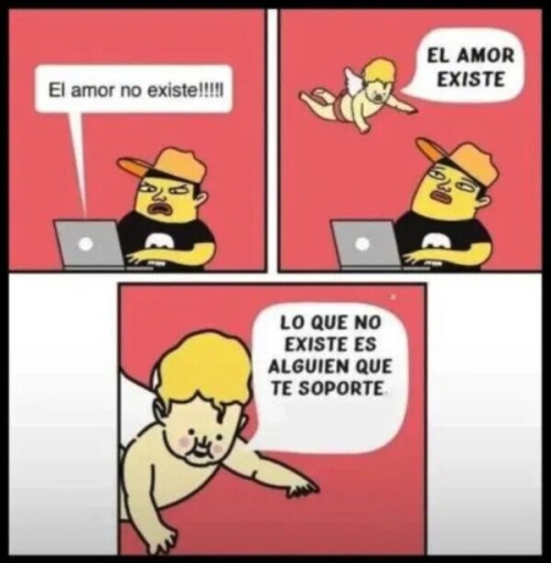 El amor no existe