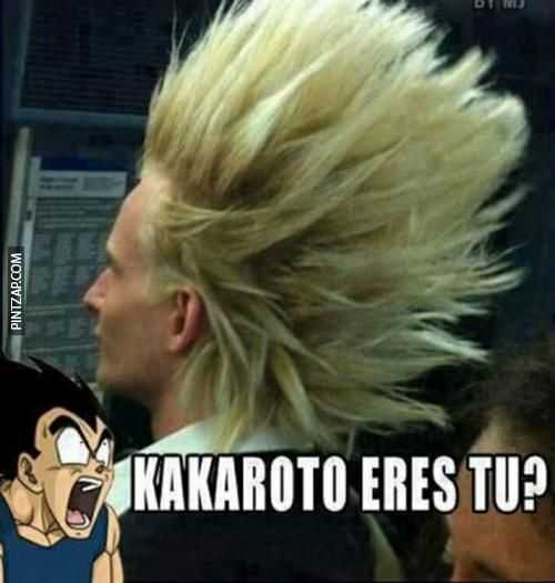 ¿Kakaroto eres tu?