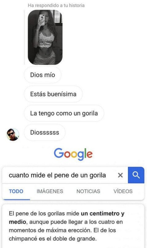 La tengo como una gorila