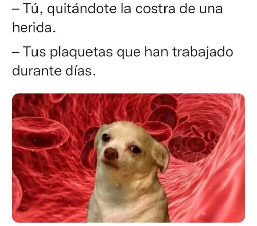 Tú quitándote la costra de una herida