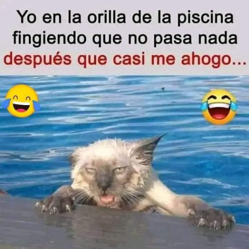 Yo en la orilla de la piscina fingiendo que no pasa nada después que casi me ahogo