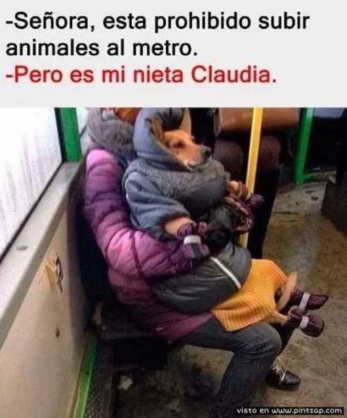 Señora esta prohibido subir animales al metro