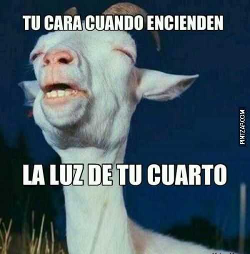 Tu cara cuando encienden la luz de tu cuarto