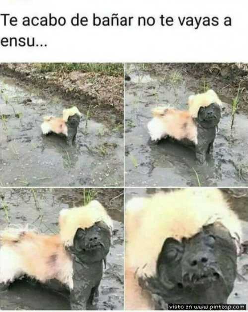 Te acabo de bañar no te vayas a ensuciar
