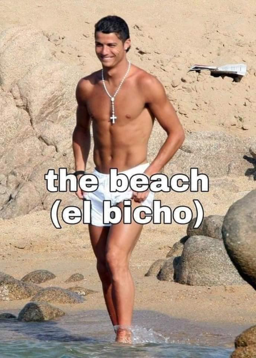 The beach, el bicho