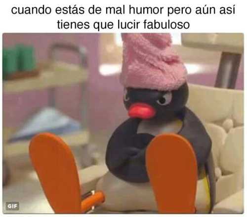 Cuando estás de mal humor pero aun así tienes que lucir fabuloso