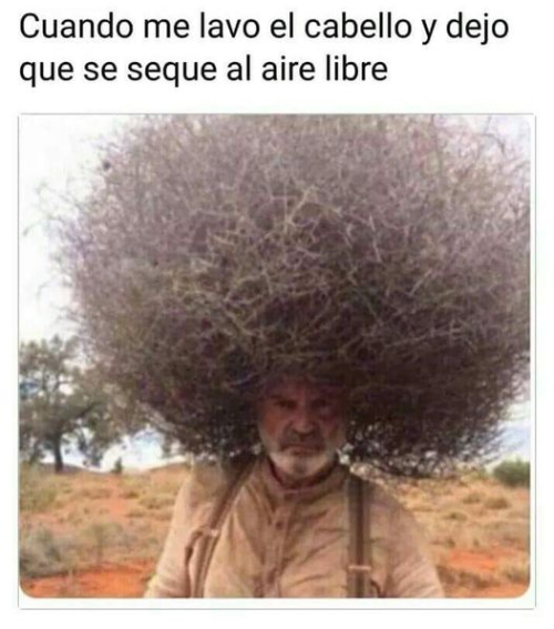 Cuando me lavo el cabello y dejo que se seque al aire libre