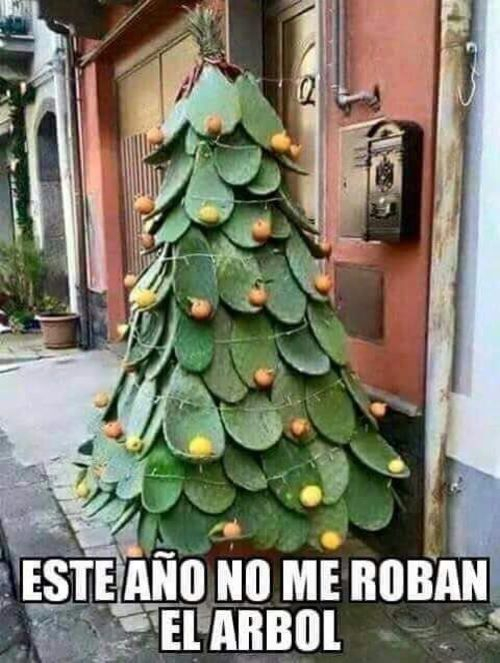 Este año no me roban el árbol