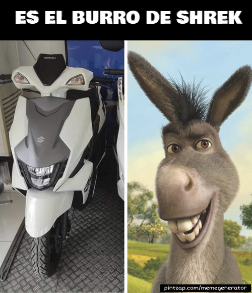 Es el burro de Shrek