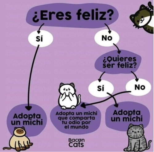 ¿Eres feliz? Adopta un michi