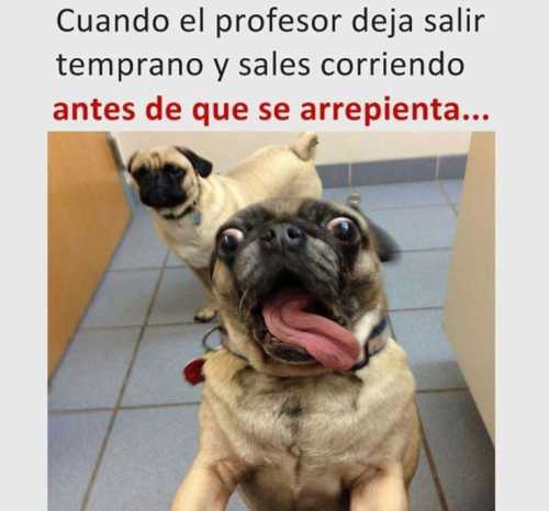 Cuando el profesor deja salir temprano