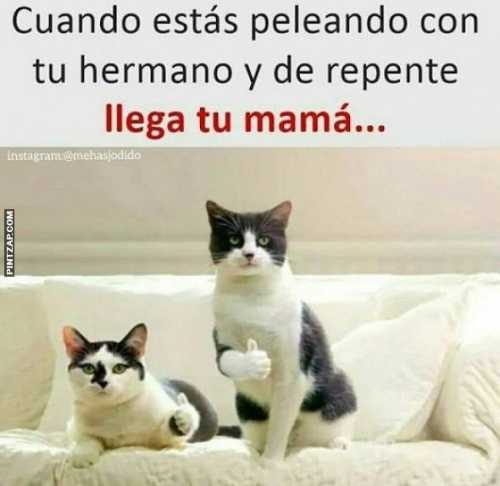 Cuando estás peleando con tu hermano y de repente llega tu mamá 