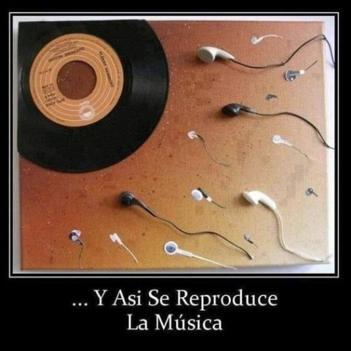 Y así se reproduce la música