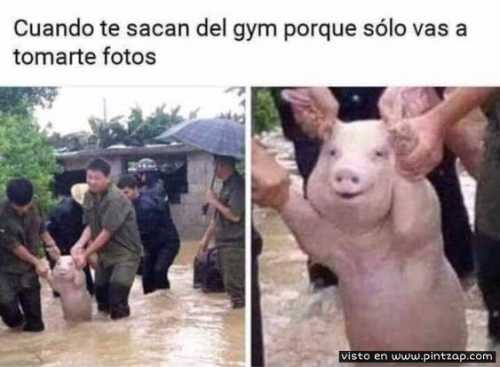 Cuando te sacan del gym porque solo vas a tomarte fotos