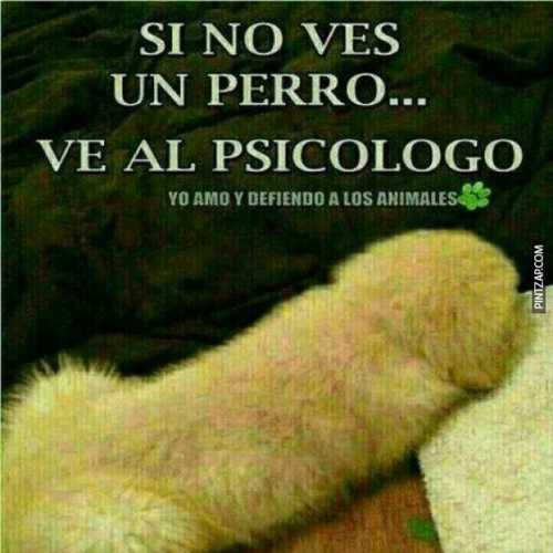 Si no ves un perro... ve al psicologo