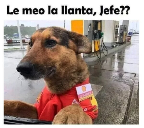 Le meo la llanta jefe?