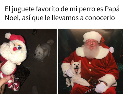 El juguete favorito de mi perro es Papá Noel, así que le llevamos a conocerlo