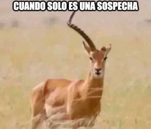 Cuando solo es una sospecha