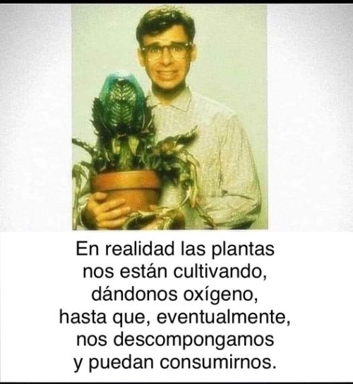 En realidad las plantas nos están cultivando