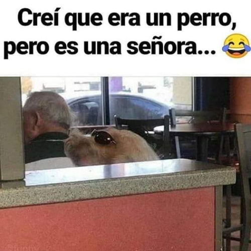 Creí que era un perro pero es una señora...