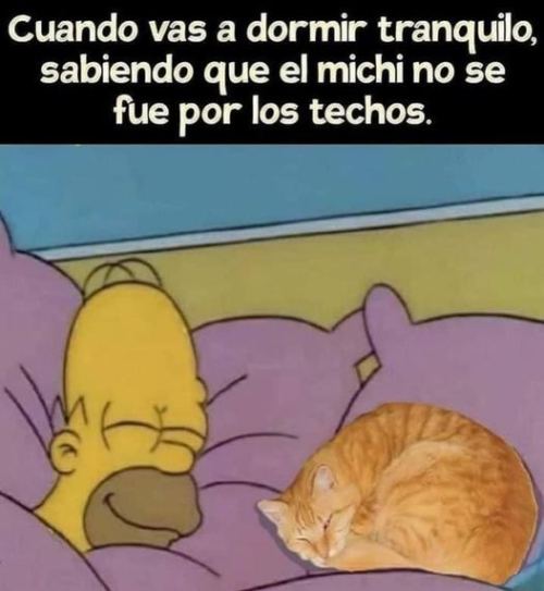 Cuando vas a dormir tranquilo sabiendo que el michi no se fue por los techos