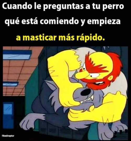 Cuando le preguntas a tu perro que esta comiendo y empieza a masticar más rápido