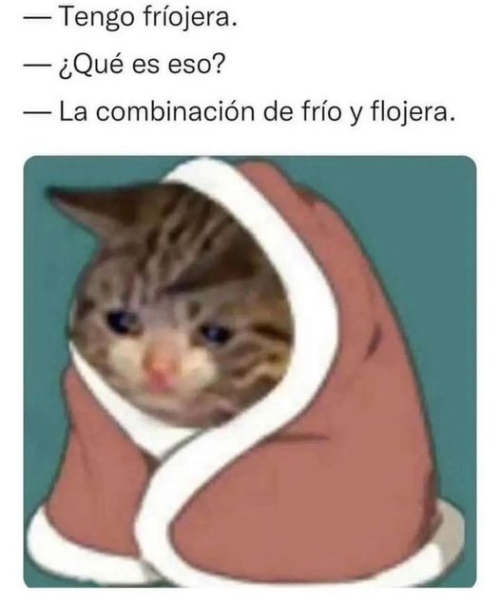 Tengo fríojera