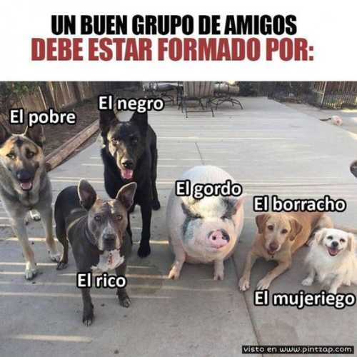 Un buen grupo de amigos debe estar formado por: