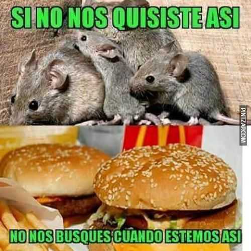 Si no nos quisiste así...