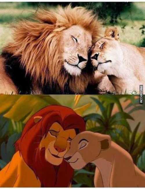 Parecido razonables: El rey león