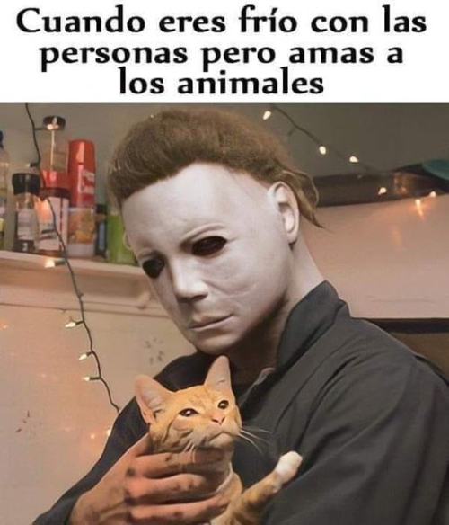 Cuando eres frío con las personas pero amas a los animales