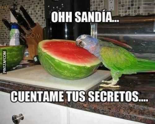 Oh sandia cuéntame tus secretos