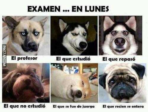 Examen en lunes