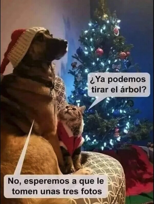 ¿Ya podemos tirar el árbol?