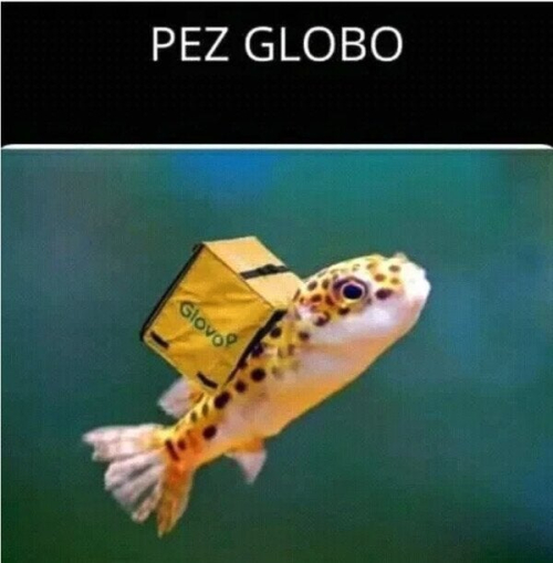 Pez Globo