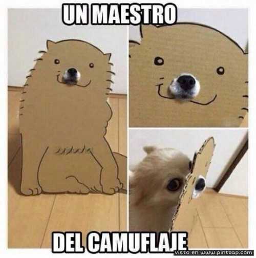 Un maestro del camuflaje