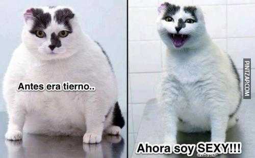 Antes era tierno