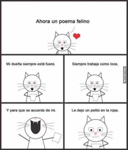 Un poema felino