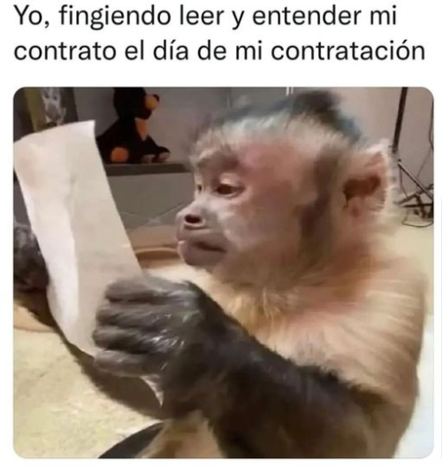 Yo fingiendo leer y entender mi contrato