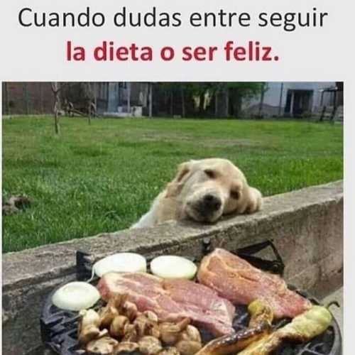 Cuando dudas entre seguir la dieta o ser feliz