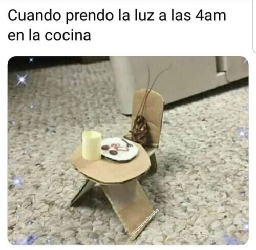 Cuando prendo la luz a las 4am en la cocina