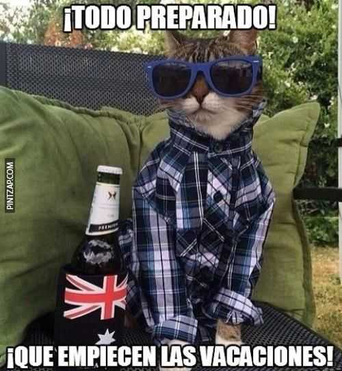 Que empiecen las vacaciones