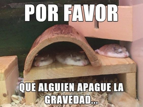 Por favor que alguien apague la gravedad