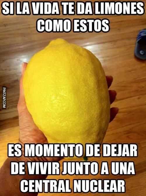 Si la vida te da limones como estos... 