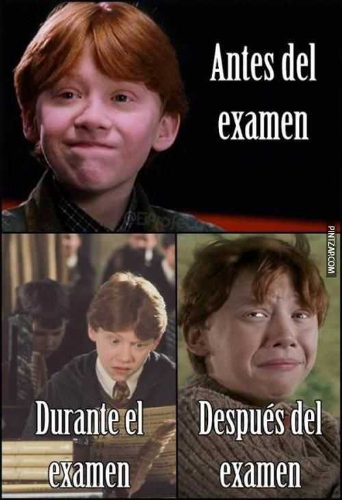 Antes y después del examen